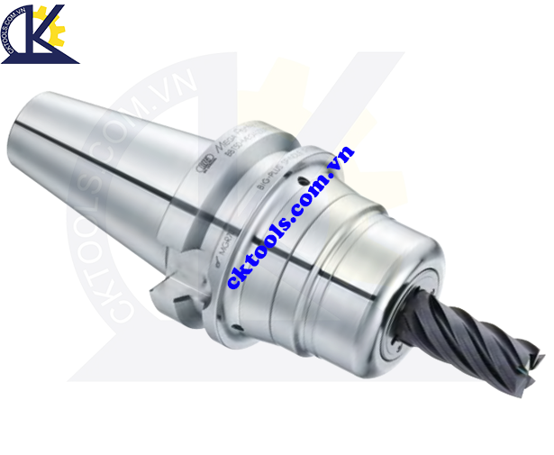 Đầu kẹp dao BIG DAISHOWA   DV50-MEGA20DPG-105ADF ,  MEGA  PERFECT GRIP   DV50-MEGA20DPG-105ADF 